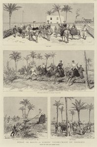 Sport in Egypte, een Dames